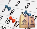 Calendario Electoral / Cronograma Electoral